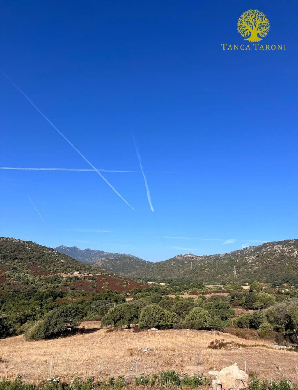 Agriturismo Bed And Breakfast Tanca Taroni 텔티 외부 사진
