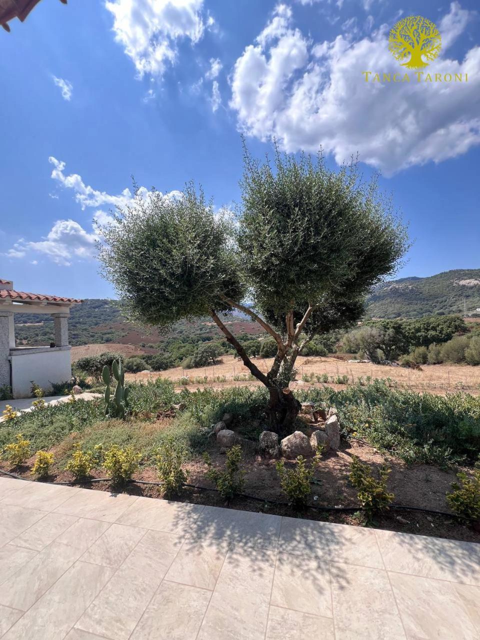 Agriturismo Bed And Breakfast Tanca Taroni 텔티 외부 사진