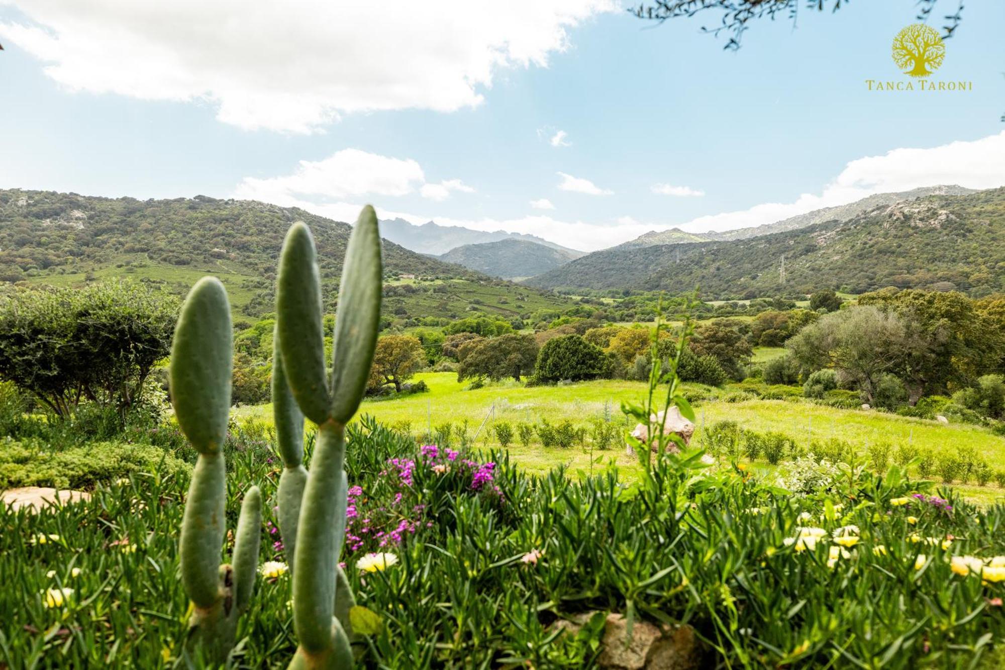 Agriturismo Bed And Breakfast Tanca Taroni 텔티 외부 사진