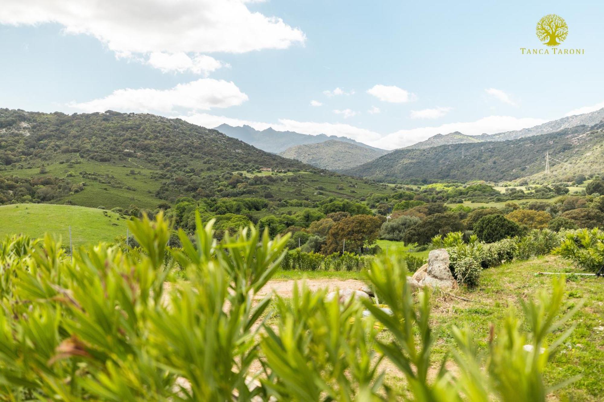 Agriturismo Bed And Breakfast Tanca Taroni 텔티 외부 사진