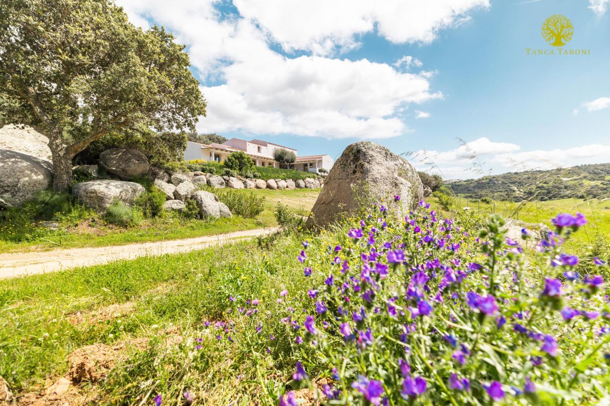 Agriturismo Bed And Breakfast Tanca Taroni 텔티 외부 사진