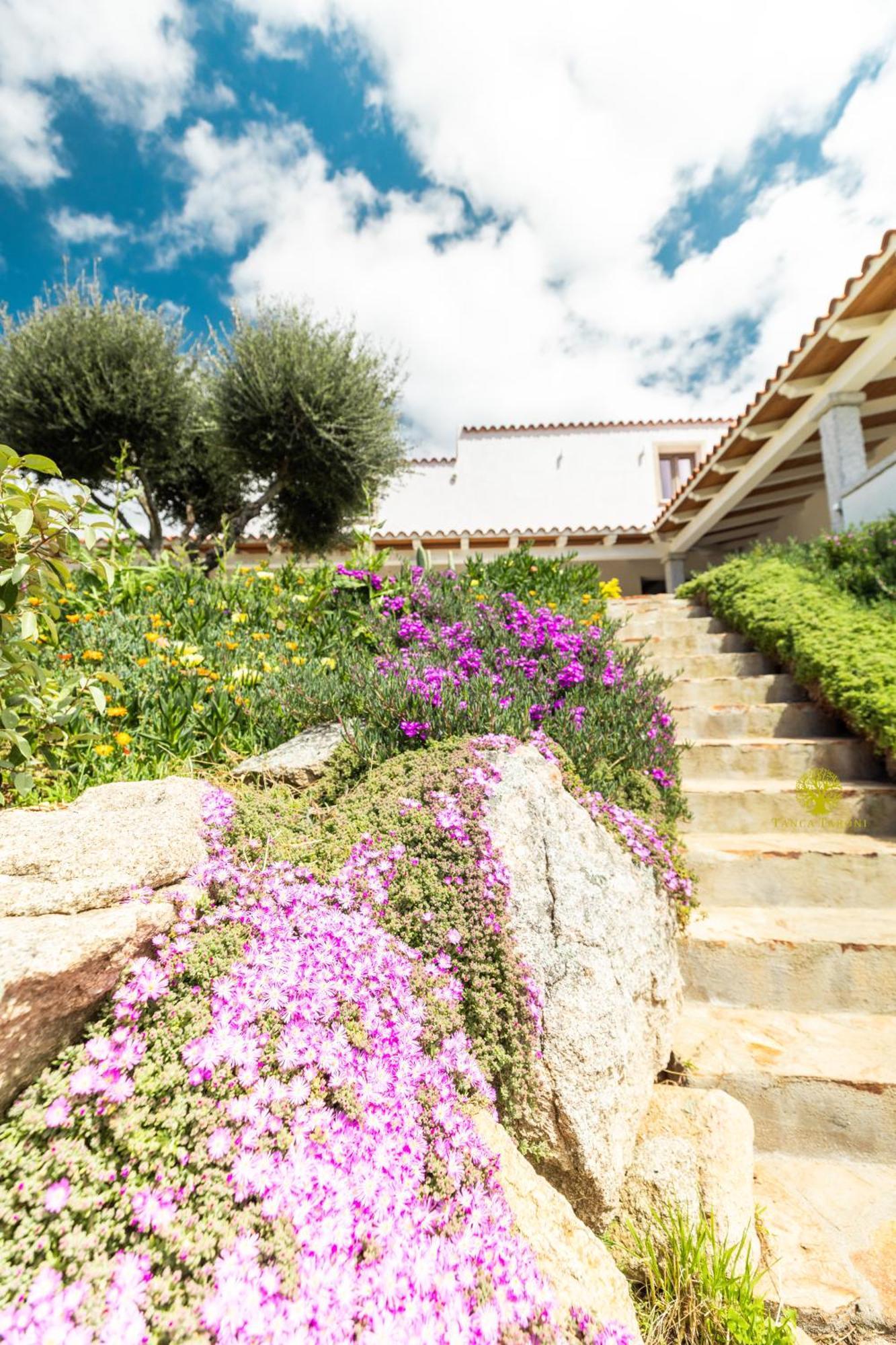 Agriturismo Bed And Breakfast Tanca Taroni 텔티 외부 사진